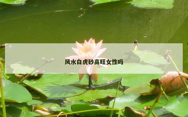 风水白虎砂高旺女性吗