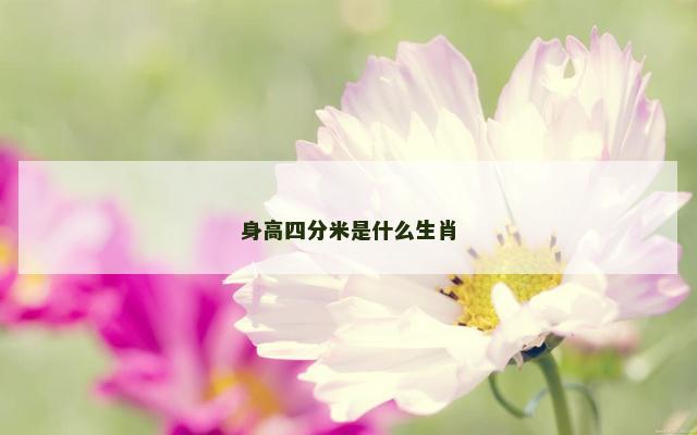 身高四分米是什么生肖