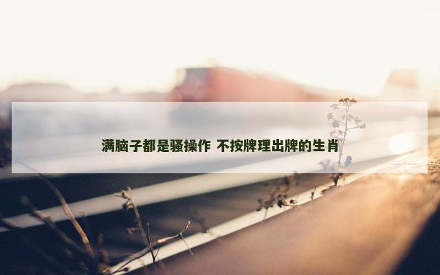 满脑子都是骚操作 不按牌理出牌的生肖
