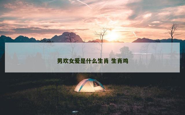 男欢女爱是什么生肖 生肖鸡