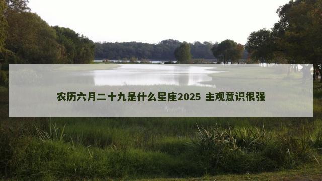 农历六月二十九是什么星座2025 主观意识很强