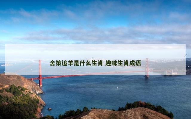 舍策追羊是什么生肖 趣味生肖成语