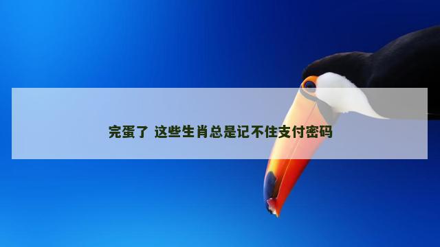 完蛋了 这些生肖总是记不住支付密码