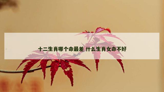 十二生肖哪个命最差 什么生肖女命不好