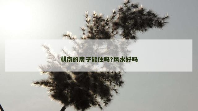 朝南的房子能住吗?风水好吗