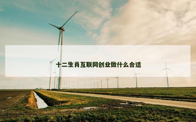 十二生肖互联网创业做什么合适
