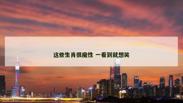 这些生肖很魔性 一看到就想笑