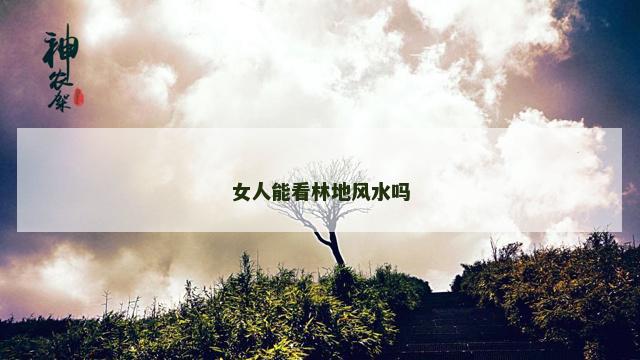 女人能看林地风水吗