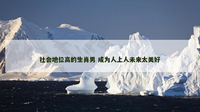 社会地位高的生肖男 成为人上人未来太美好