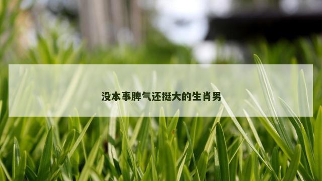 没本事脾气还挺大的生肖男
