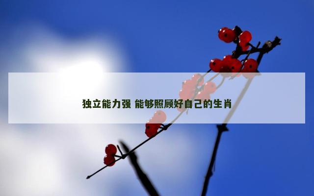 独立能力强 能够照顾好自己的生肖