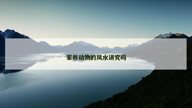 家养动物的风水讲究吗