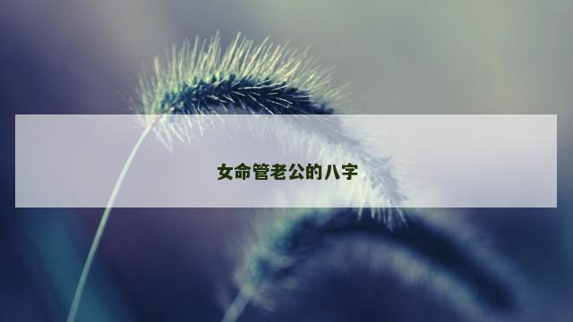 女命管老公的八字