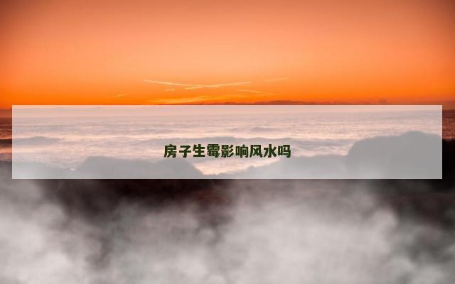房子生霉影响风水吗