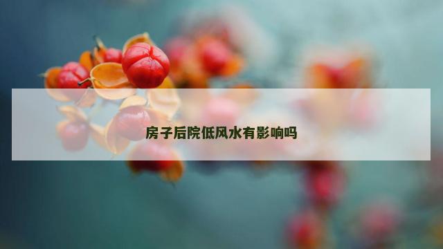 房子后院低风水有影响吗