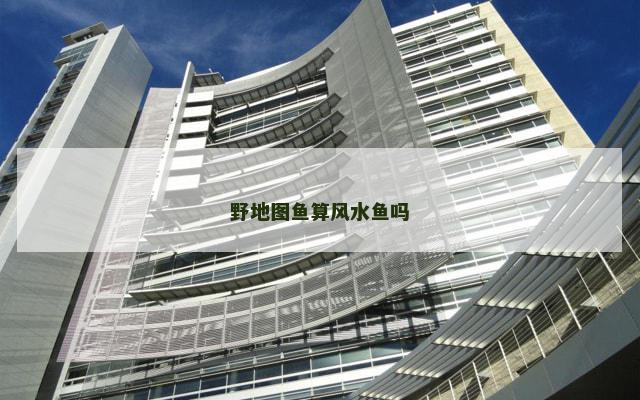 野地图鱼算风水鱼吗