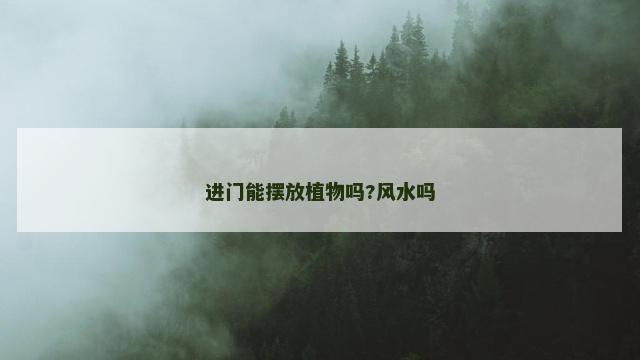 进门能摆放植物吗?风水吗