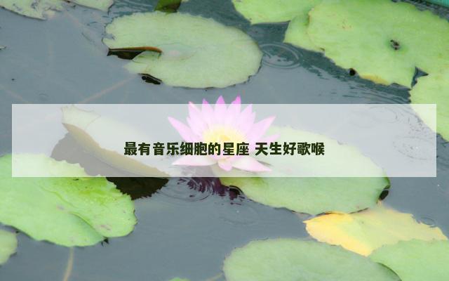 最有音乐细胞的星座 天生好歌喉