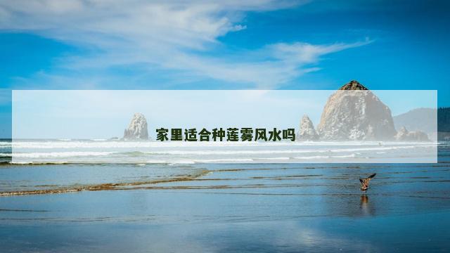 家里适合种莲雾风水吗
