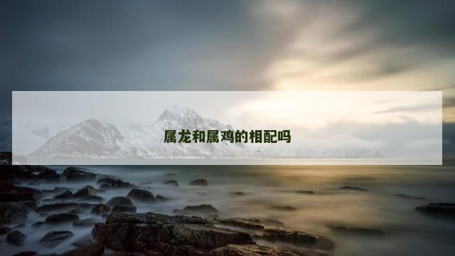属龙和属鸡的相配吗