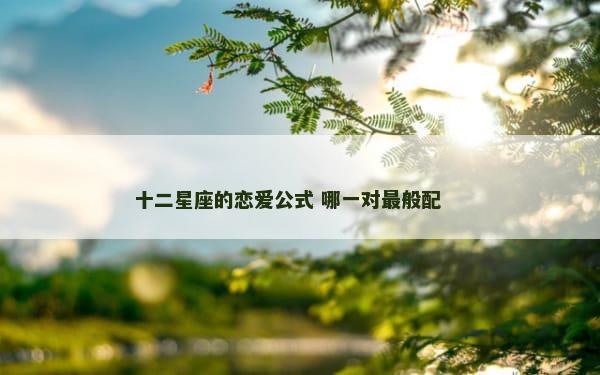十二星座的恋爱公式 哪一对最般配 　　