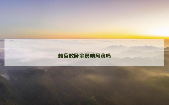 雏菊放卧室影响风水吗