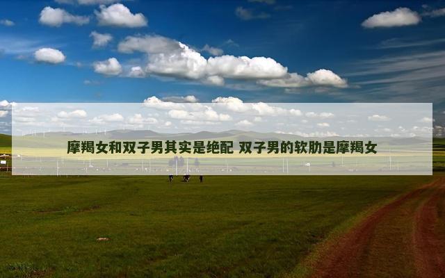 摩羯女和双子男其实是绝配 双子男的软肋是摩羯女