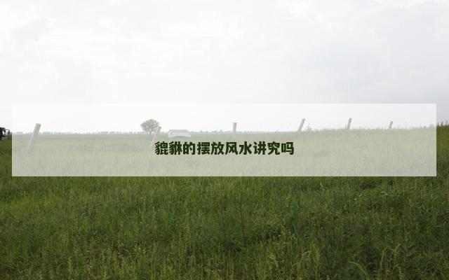 貔貅的摆放风水讲究吗