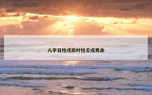 八字日柱戊辰时柱壬戌男命
