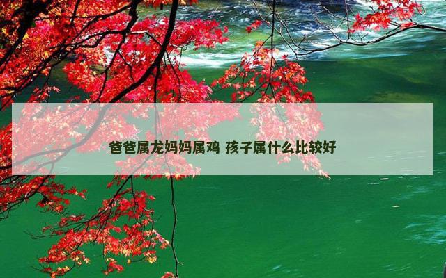 爸爸属龙妈妈属鸡 孩子属什么比较好