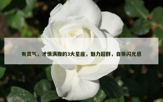 有灵气，才情满腹的3大星座，魅力超群，自带闪光感