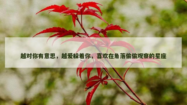 越对你有意思，越爱躲着你，喜欢在角落偷偷观察的星座