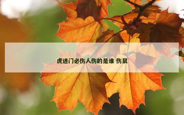 虎进门必伤人伤的是谁 伤鼠