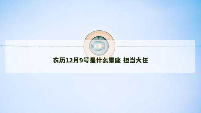 农历12月9号是什么星座 担当大任