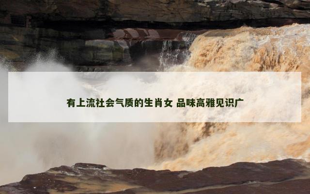 有上流社会气质的生肖女 品味高雅见识广