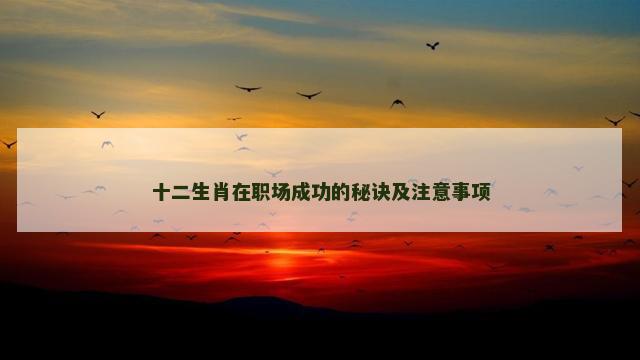 十二生肖在职场成功的秘诀及注意事项
