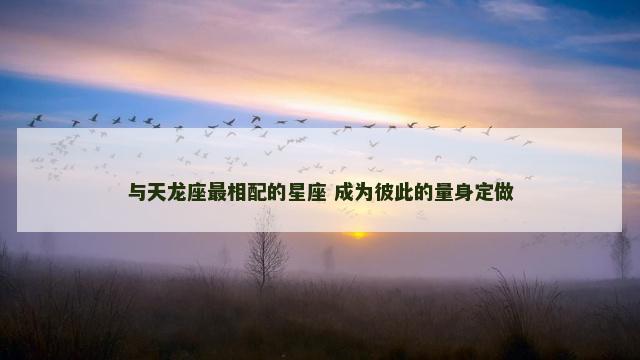 与天龙座最相配的星座 成为彼此的量身定做