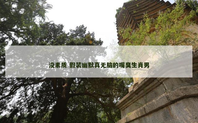 没素质 假装幽默真无脑的嘴臭生肖男