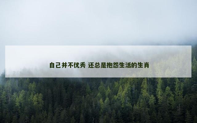 自己并不优秀 还总是抱怨生活的生肖