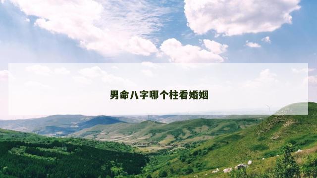 男命八字哪个柱看婚姻