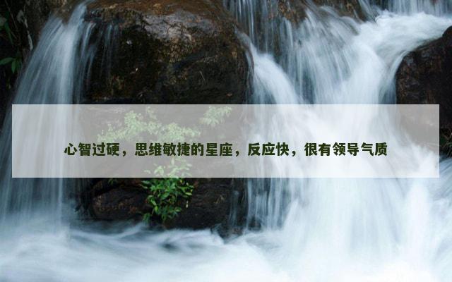 心智过硬，思维敏捷的星座，反应快，很有领导气质