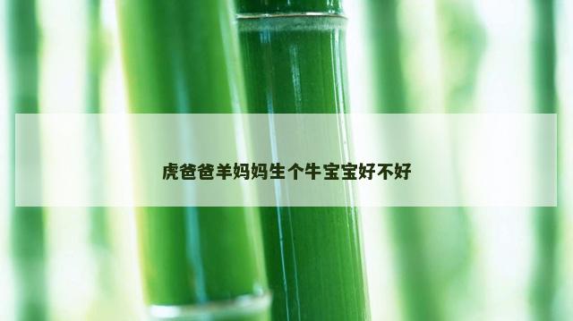 虎爸爸羊妈妈生个牛宝宝好不好