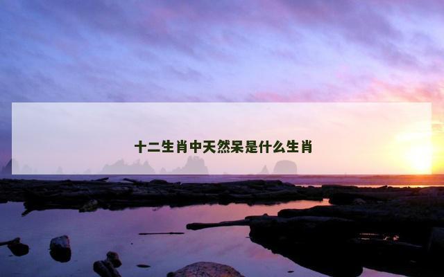 十二生肖中天然呆是什么生肖