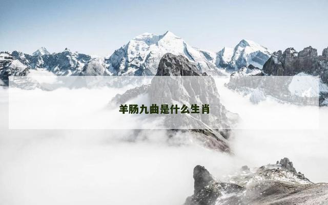 羊肠九曲是什么生肖