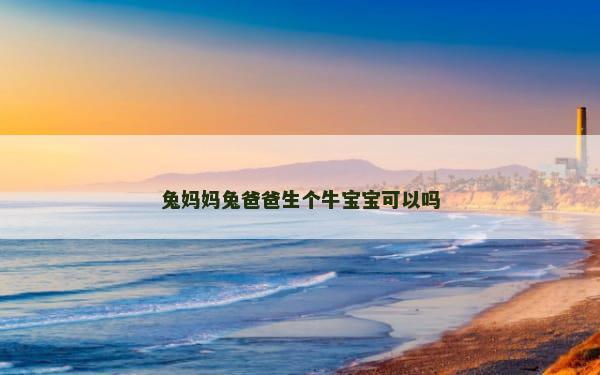 兔妈妈兔爸爸生个牛宝宝可以吗