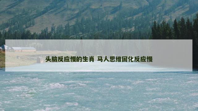 头脑反应慢的生肖 马人思维固化反应慢