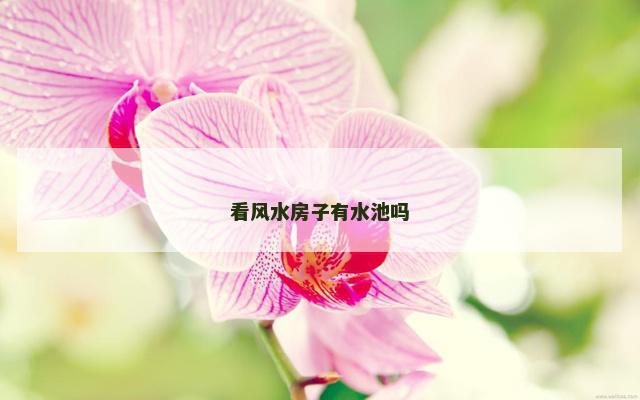 看风水房子有水池吗