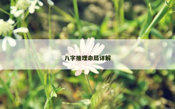 八字推理命局详解