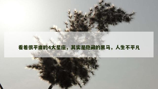 看着很平庸的4大星座，其实是隐藏的黑马，人生不平凡
