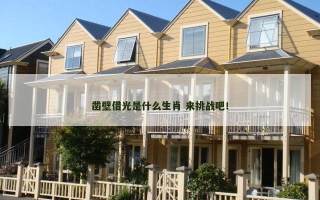 凿壁借光是什么生肖 来挑战吧！